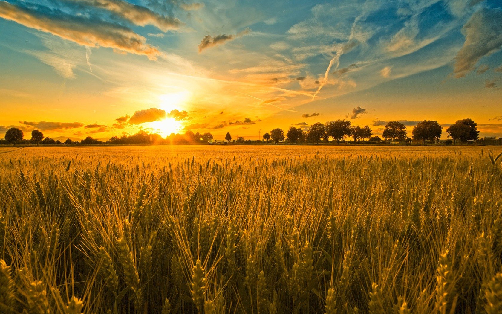 Harvest Songs of Praise- Sunday 4th October, 3pm