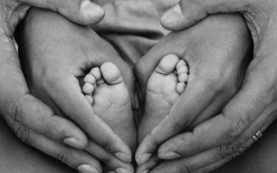 Weekly Email w/b 10th November 2025