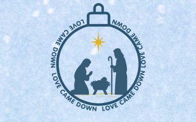 Weekly Email w/b 24th November 2025